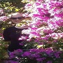 Avatar de Usuario