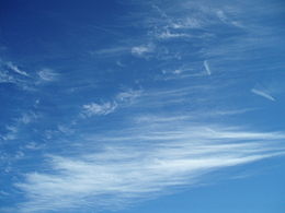 Cirrus_fibratus_c._floccus.JPG